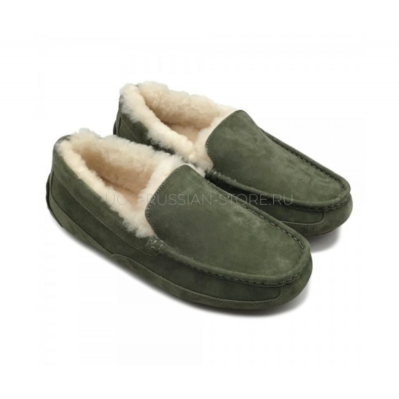 UGG Mens Ascot Burnt Olive 22