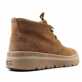 UGG Men's  Burleigh Chukka Chestnut
