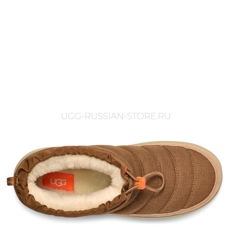 UGG Maxxer Mini Chestnut 22