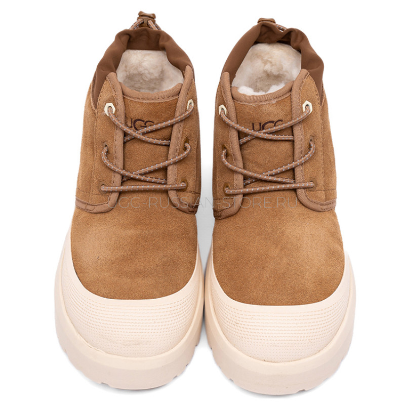 UGG Neumel Hybrid Chestnut  Whitecap  22