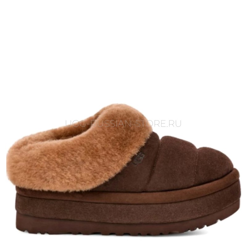 UGG Tazzlita Hardwood 11