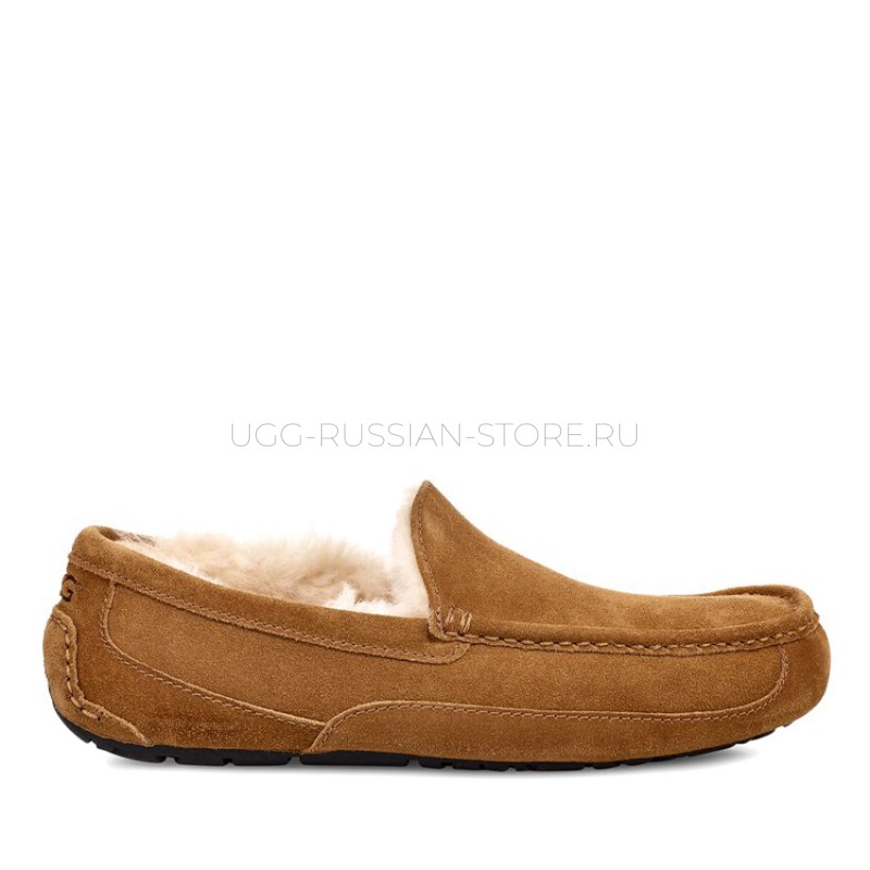 UGG Men's Ascot Chestnut 11