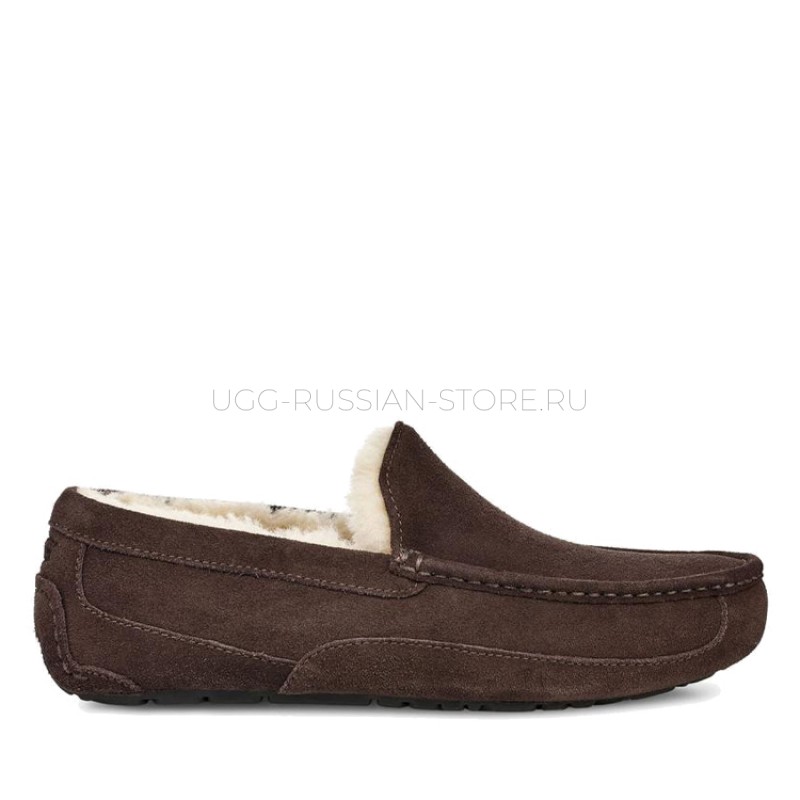 UGG Men's Ascot Chocolate 11