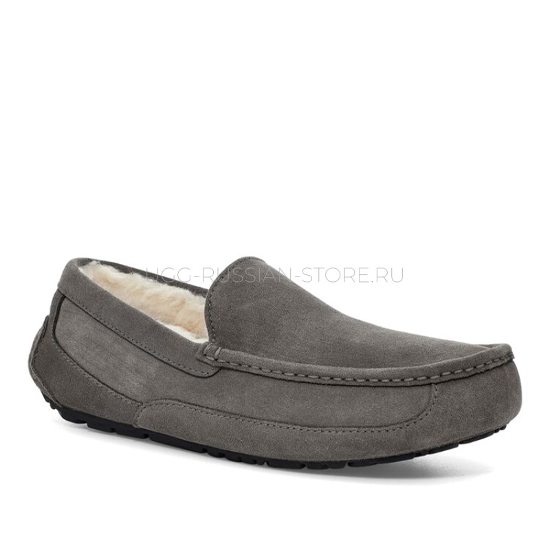 UGG Men's Ascot Grey 22
