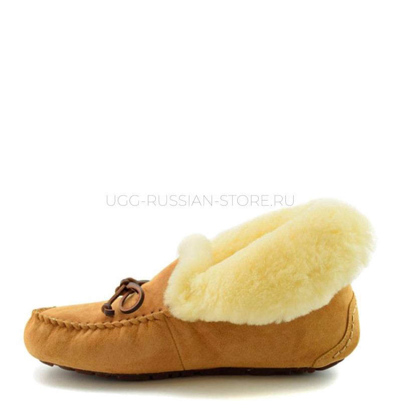 UGG Alena Chestnut 22