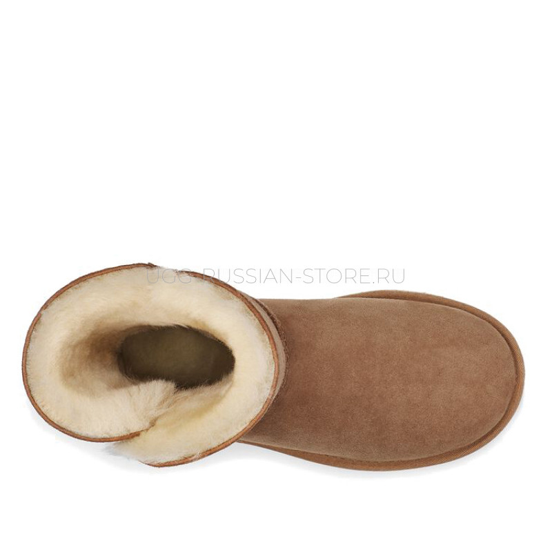 Bailey Zip Short Chestnut 22