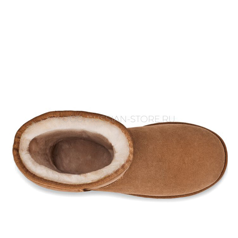 UGG Classic Tall Chestnut 22