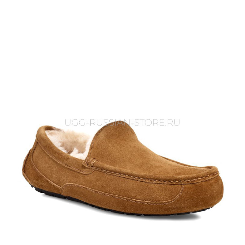 UGG MENS Ascot Chestnut 22