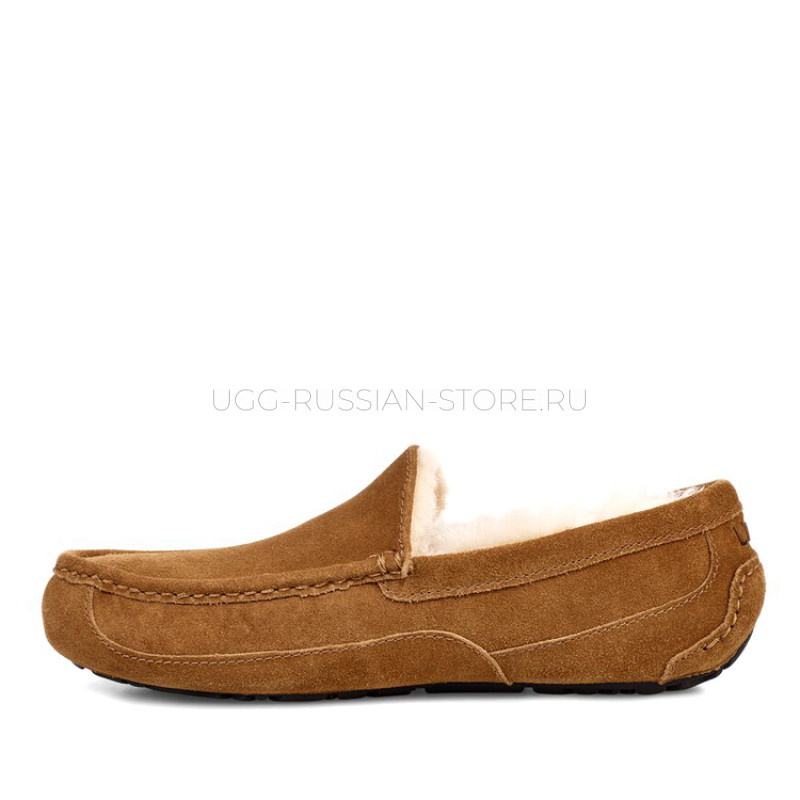 UGG MENS Ascot Chestnut 22