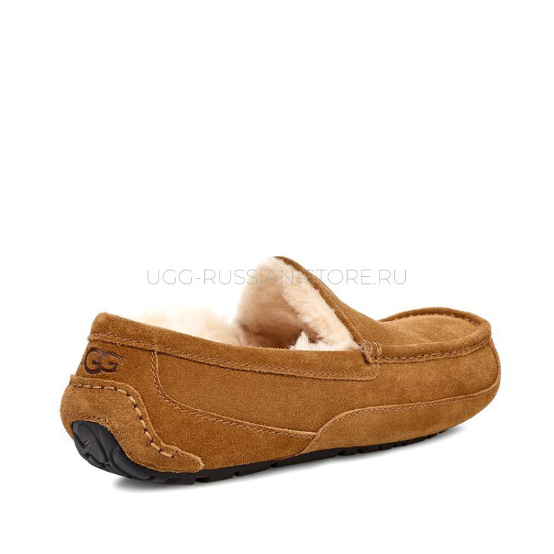 UGG MENS Ascot Chestnut 22
