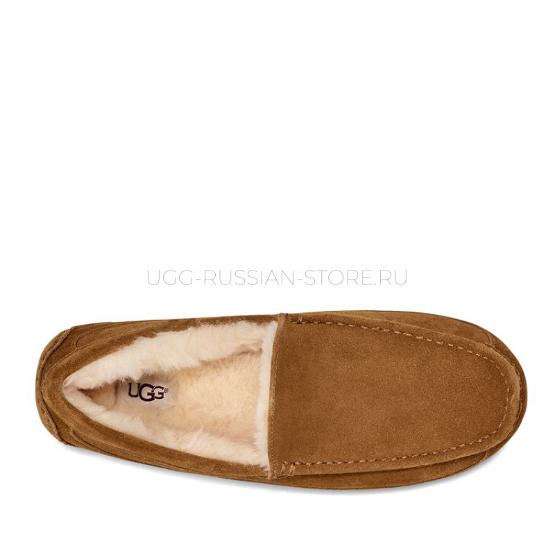 UGG MENS Ascot Chestnut 22