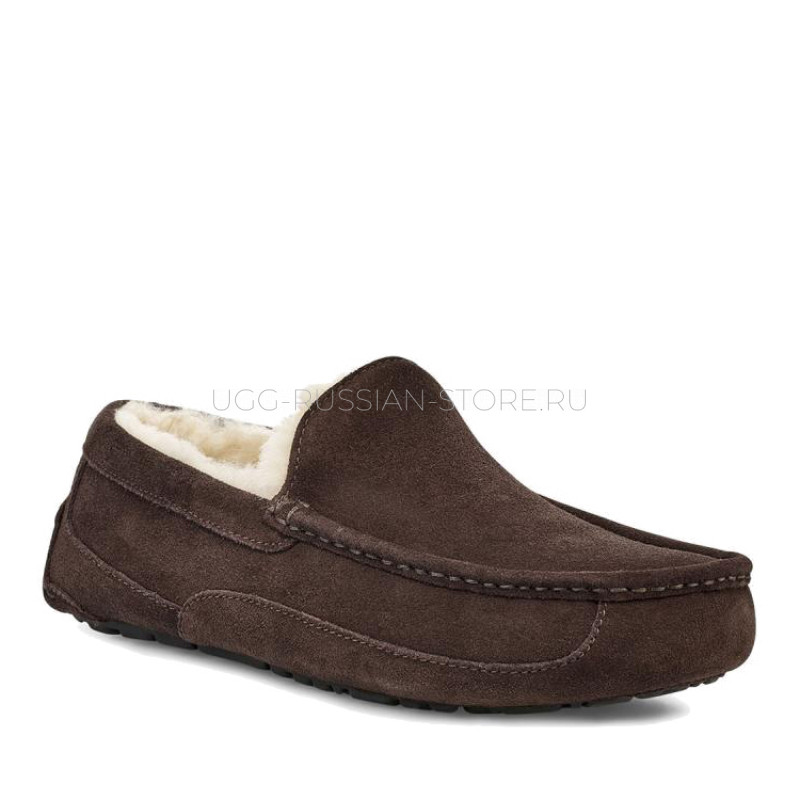 UGG MENS Ascot Chocolate 22