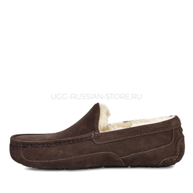 UGG MENS Ascot Chocolate 22