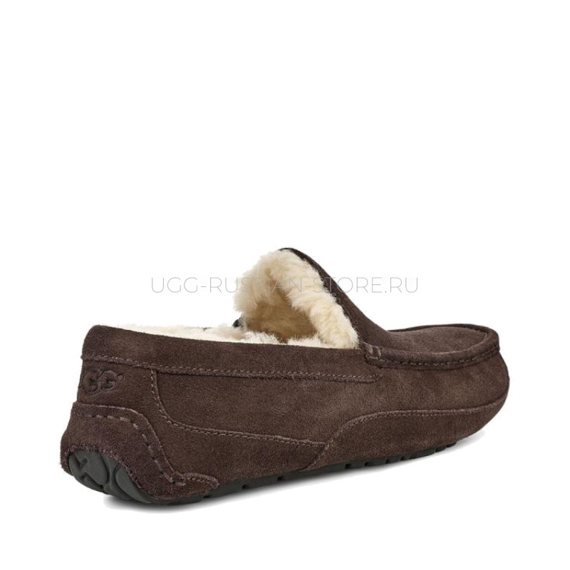 UGG MENS Ascot Chocolate 22