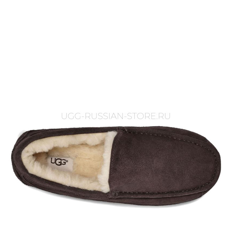 UGG MENS Ascot Chocolate 22