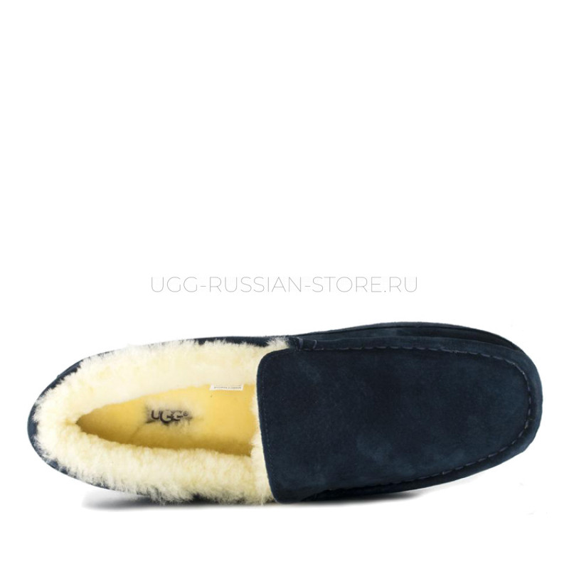 UGG MENS Ascot Navy 22