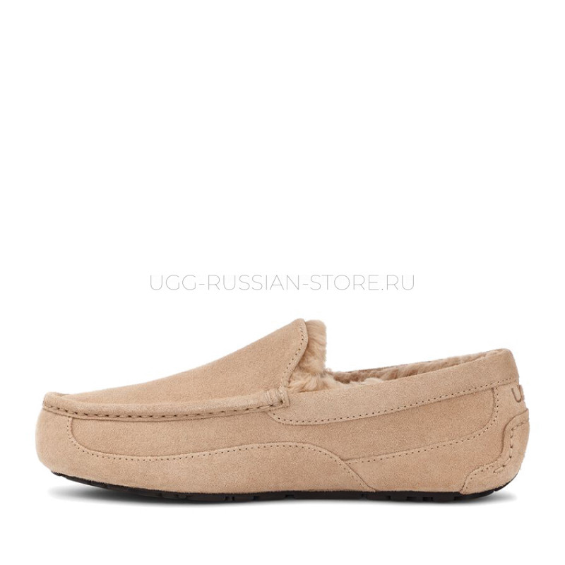 Men's Ascot Sand 22