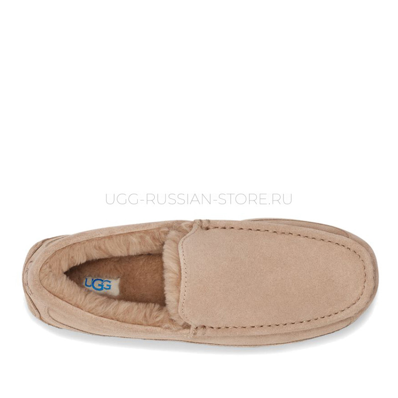 Men's Ascot Sand 22