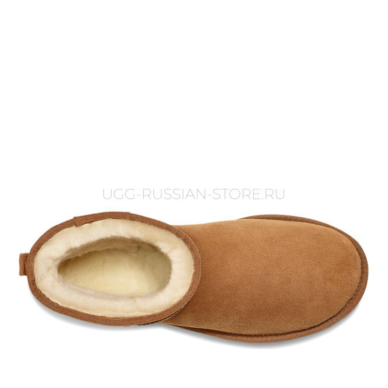 UGG MENS Classic Mini Chestnut 22