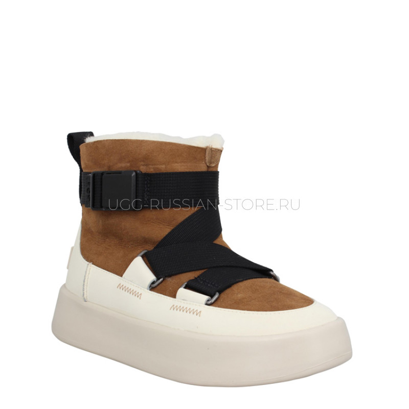 Classic Boom Buckle Chestnut 22