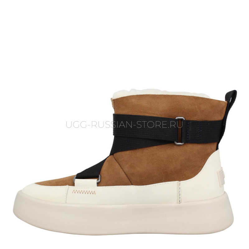 Classic Boom Buckle Chestnut 22