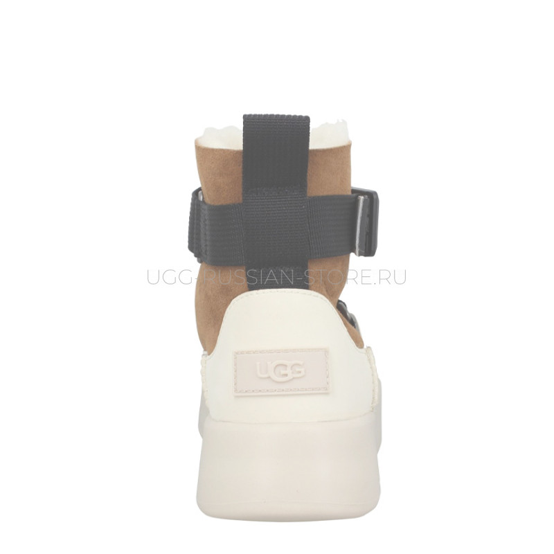 Classic Boom Buckle Chestnut 22