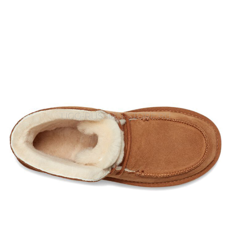 Diara Chestnut 22