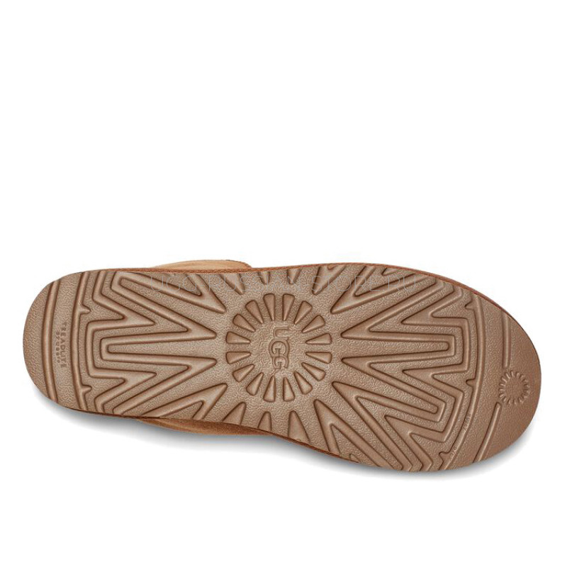 Diara Chestnut 22