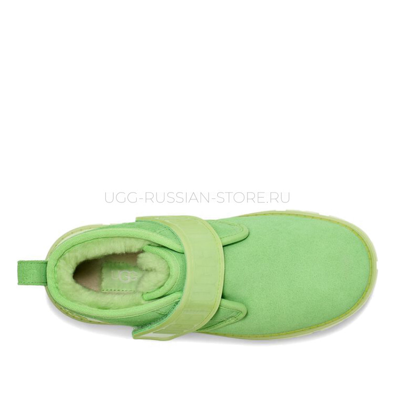 Neumel Clear Parakeet Green 22