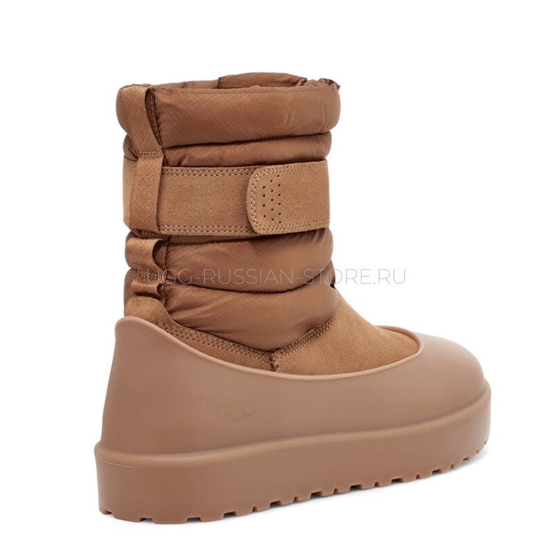 Classic Short Pull-On Weather Chestnut 22