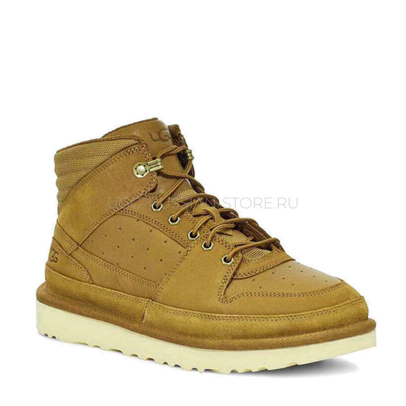 Highland Sport Hiker Mid Chestnut 22