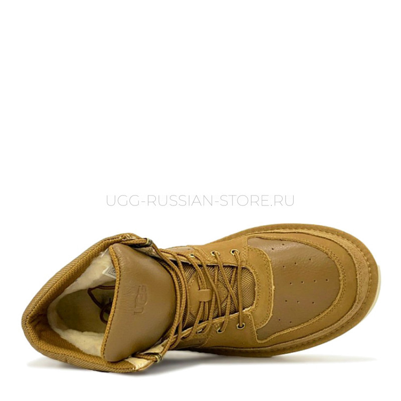 Highland Sport Hiker Mid Chestnut 22