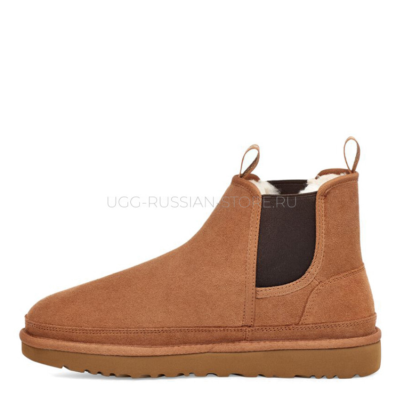 Men's Neumel Chelsea Chestnut 22