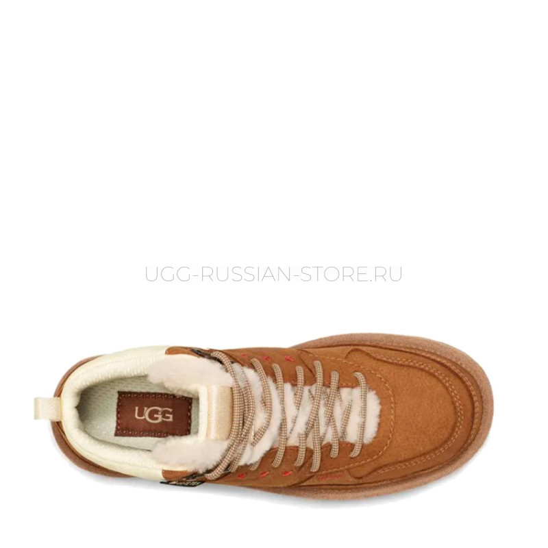 Highland Hi GoreTex Chestnut 22