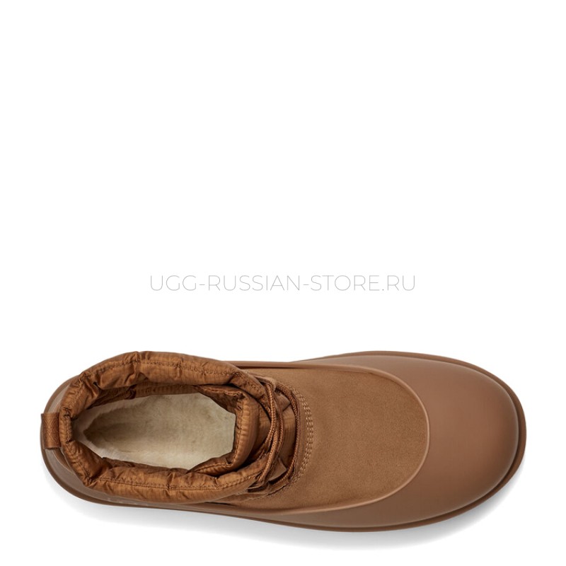 UGG Mens  Classic Mini Lace-Up Weather Chestnut 22