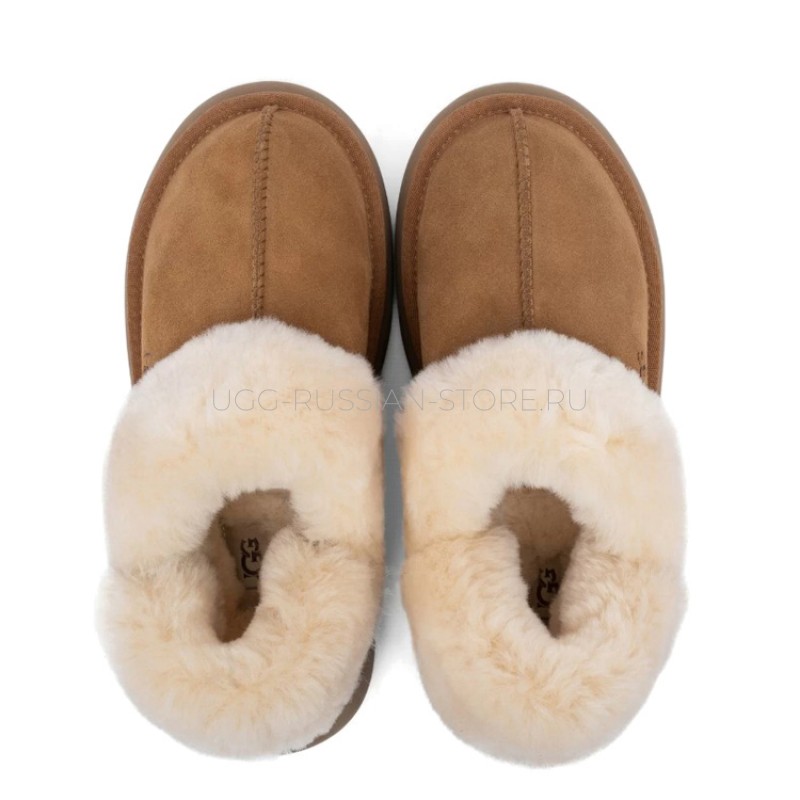 UGG Slippers Disquette Chestnut 22